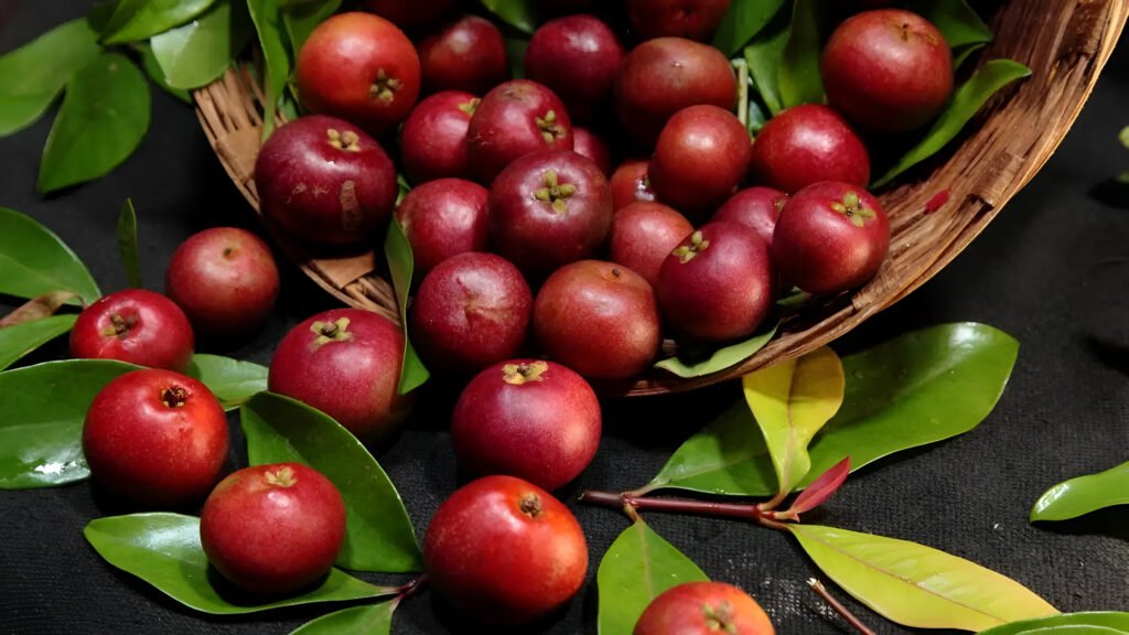 Kokum Recipes