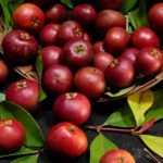 Kokum Recipes