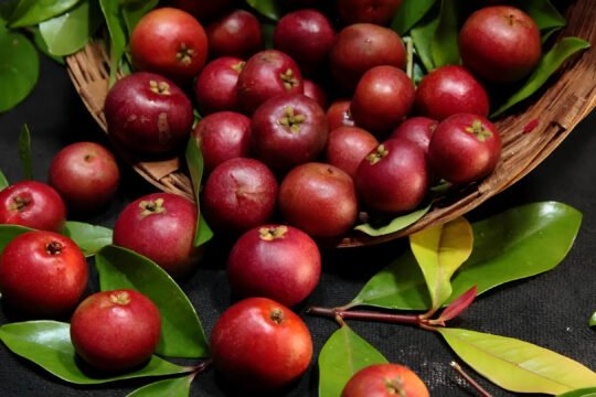Kokum Recipes