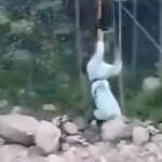 12-Year-Old Girl Falls 30 Feet