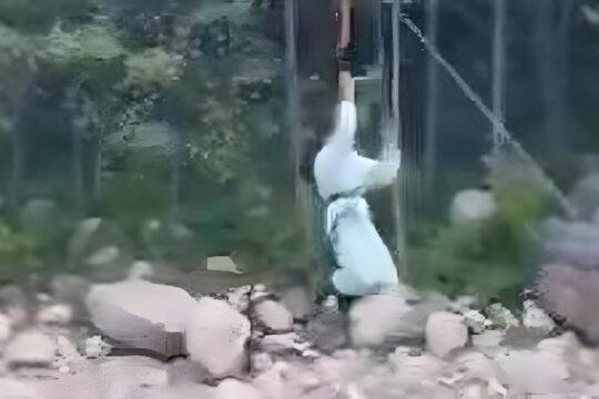 12-Year-Old Girl Falls 30 Feet