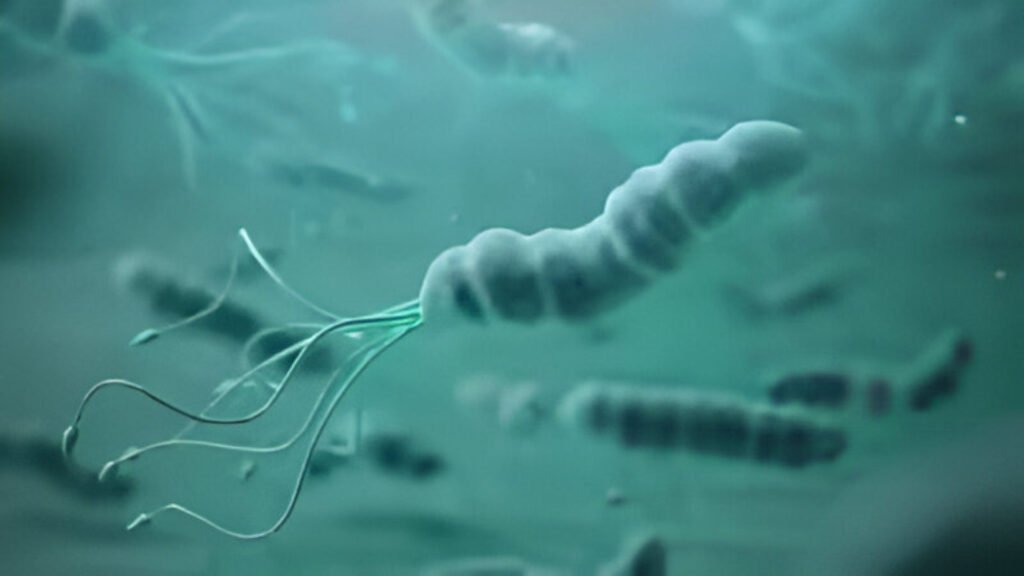 The Silent Threat: How a Prevalent Gut Bacterium May Cause Millions of Stomach Cancers
