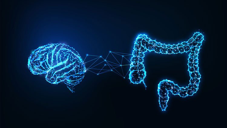Gut Health and Mental Health in 2025: Science-Backed Ways the Microbiome Shapes Anxiety, Depression, and Brain Health