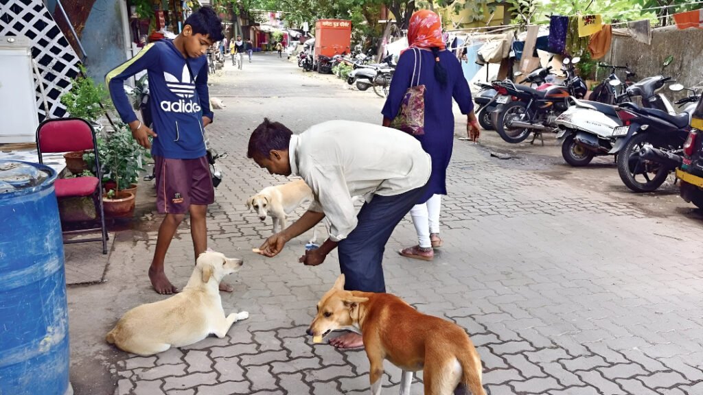 Supreme Court Eases Stray Dog Ban: Sterilize, Vaccinate & Release