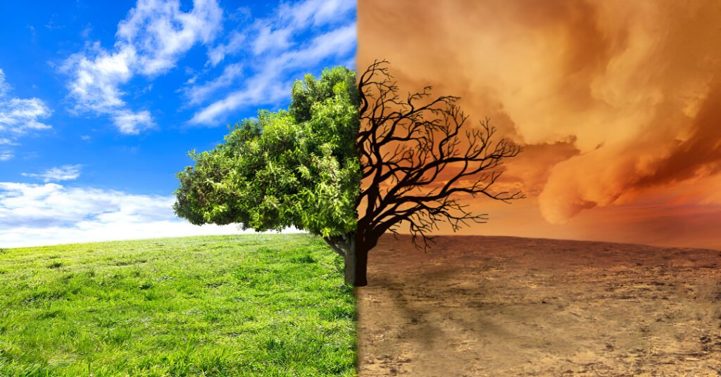 Climate Change Science 2025: Key Facts on Warming, CO₂, Sea Level Rise, and What to Do