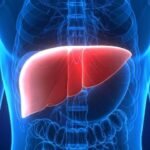 Low Protein Diet May Slow Liver Tumour Growth