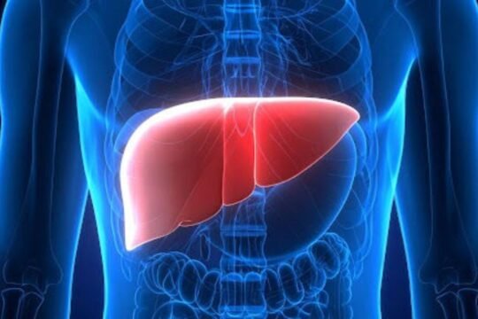 Low Protein Diet May Slow Liver Tumour Growth