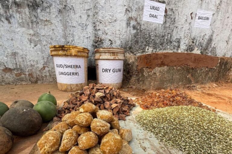 Inside Lucknow’s 200-Year-Old Royal Kitchen Still Feeding Thousands