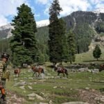 Pahalgam Attack One Year Later: India Remembers